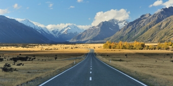 algonquin winter wilderness