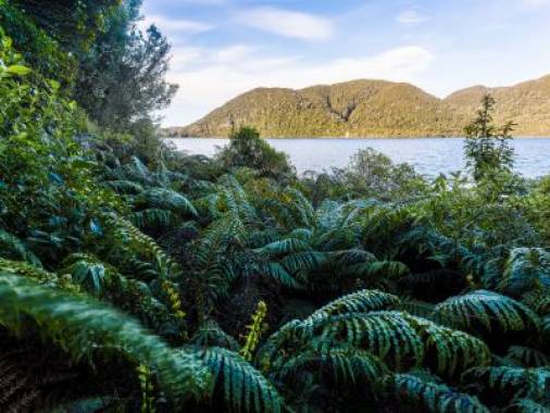 Tour destination image