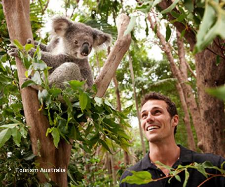 Tour destination image