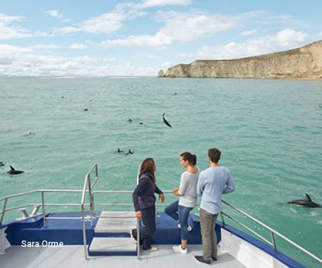 Tour destination image