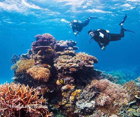 Tour destination image