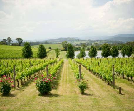 Tour destination image