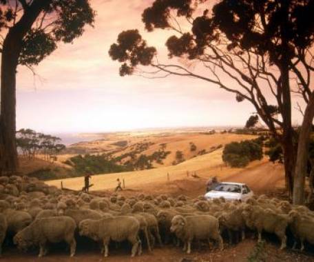 Tour destination image