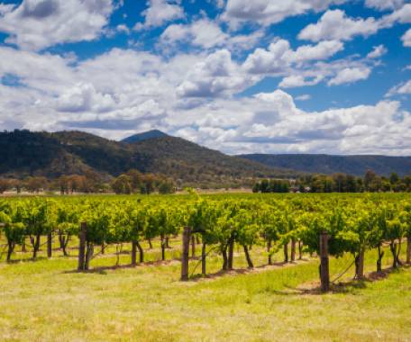 Tour destination image