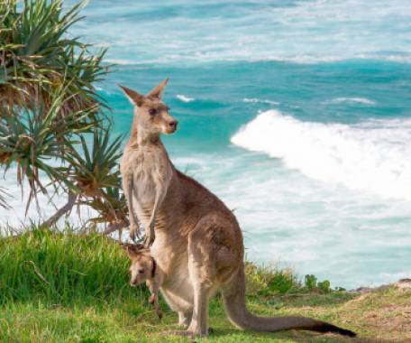 Tour destination image