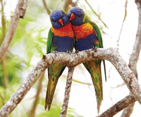 Tour destination image