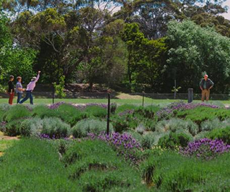 Tour destination image